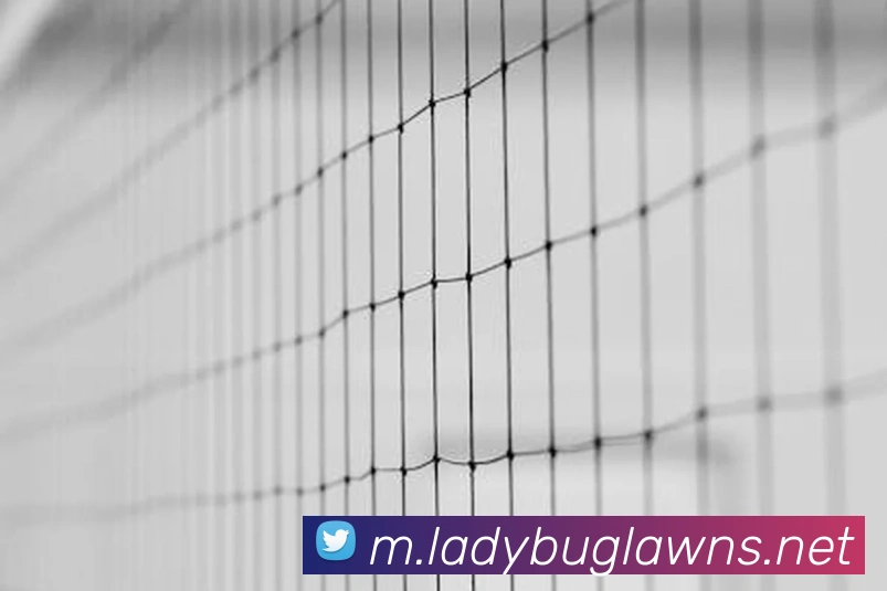 澳门威尼斯人网站服务体系